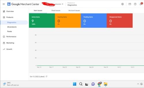 Buy Google Merchant center account photo review